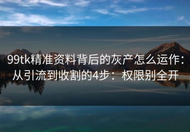 99tk精准资料背后的灰产怎么运作：从引流到收割的4步：权限别全开