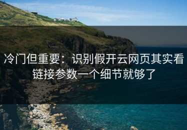 冷门但重要：识别假开云网页其实看链接参数一个细节就够了