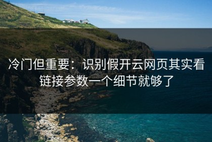 冷门但重要：识别假开云网页其实看链接参数一个细节就够了
