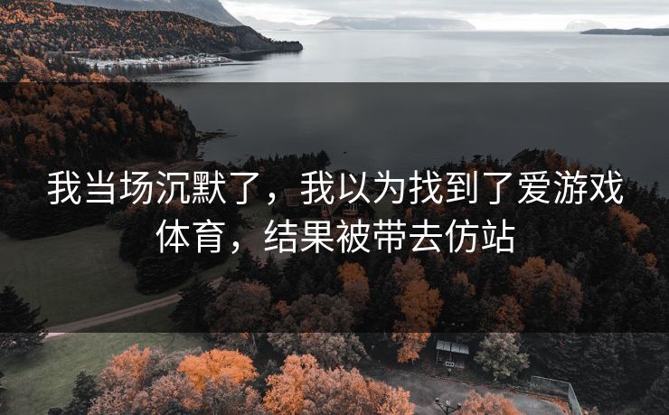 我当场沉默了，我以为找到了爱游戏体育，结果被带去仿站