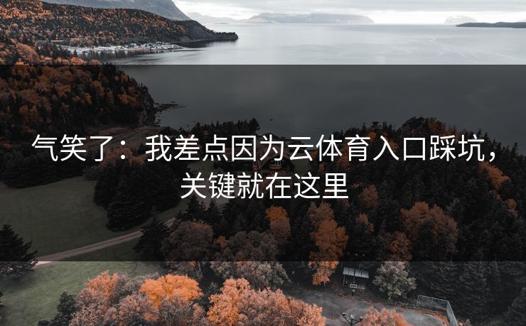 气笑了：我差点因为云体育入口踩坑，关键就在这里