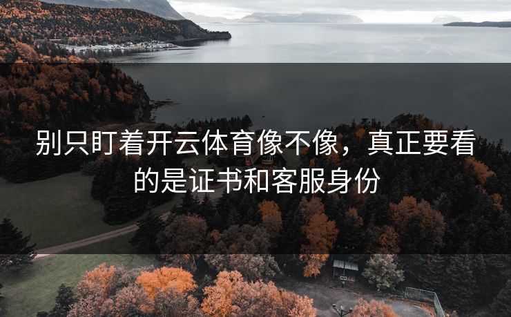 别只盯着开云体育像不像，真正要看的是证书和客服身份
